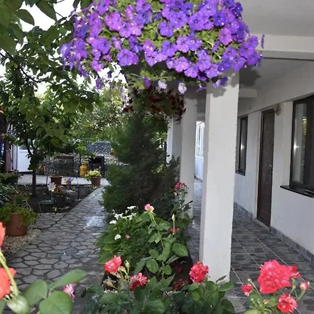 De Inchiriat - La Braileanul - 2 Stele -