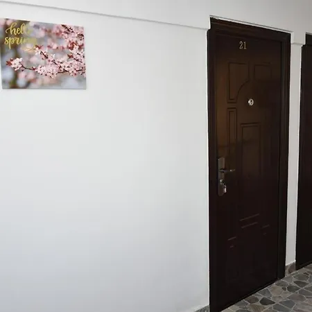 De Inchiriat - La Braileanul - 2 Stele - 코스티네스티