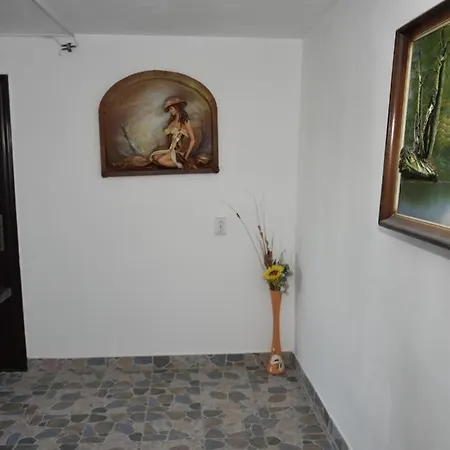 De Inchiriat - La Braileanul - 2 Stele - 게스트하우스 3*