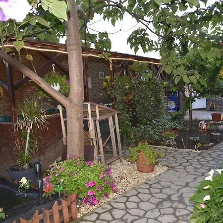 De Inchiriat - La Braileanul - 2 Stele - 3* 코스티네스티