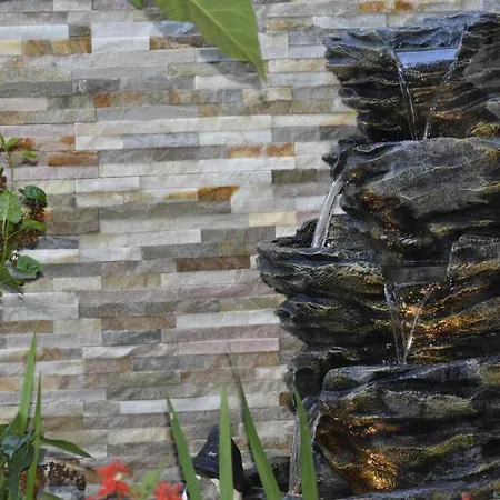 De Inchiriat - La Braileanul - 2 Stele - Gasthuis